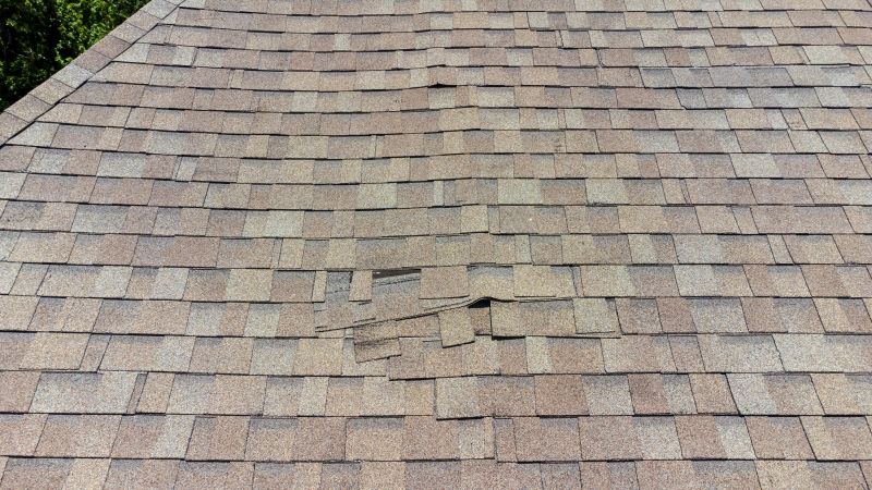 Asphalt Roof Inspection in Mc Donald, PA