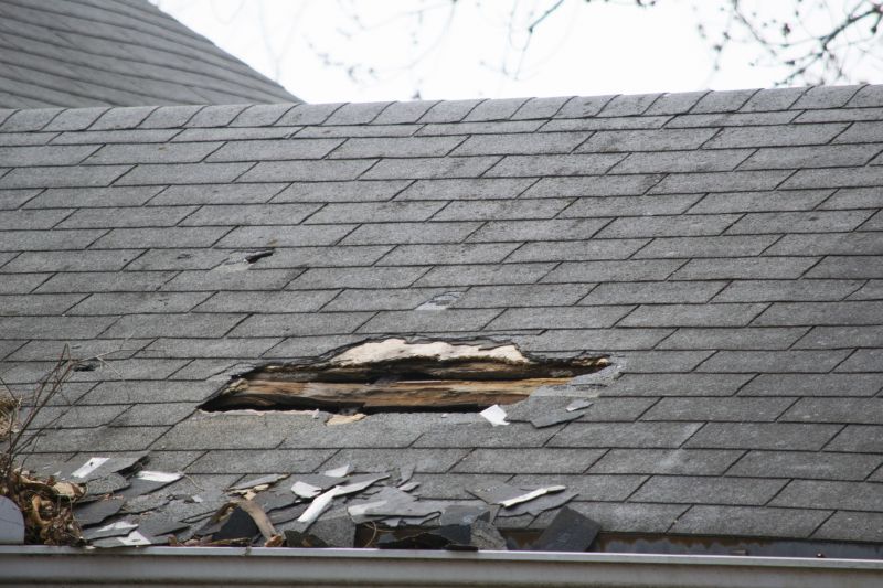 Asphalt Roof Leak Repair in Gibsonia, PA