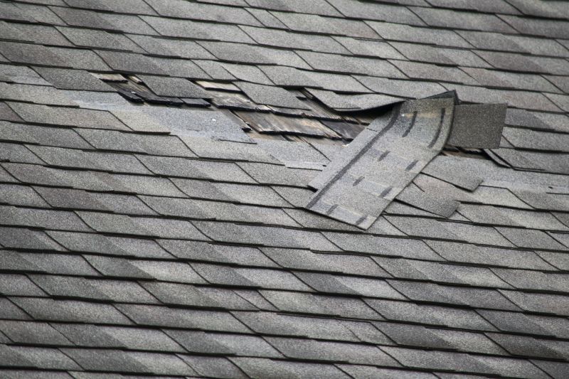 Asphalt Roof Leak Repair in Zelienople, PA