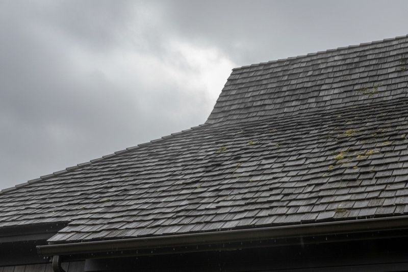 Cedar Shingles Replacement in Burgettstown, PA