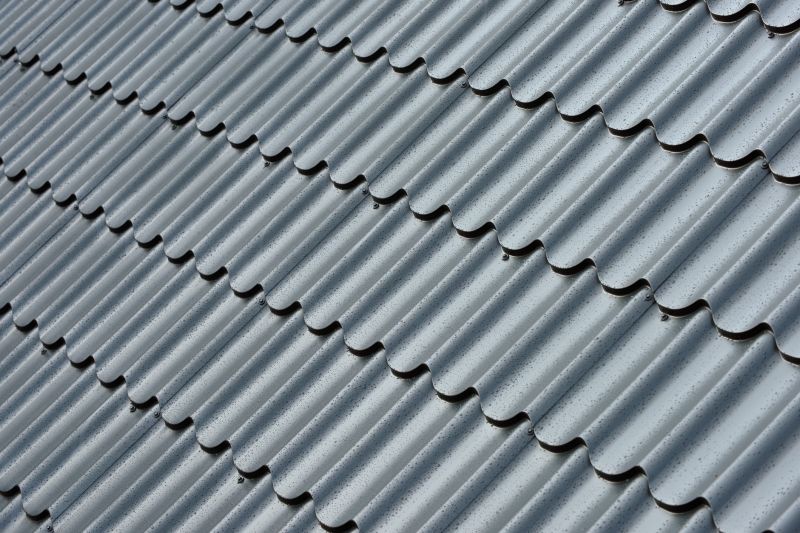 Corrugated Roof Repair in Evans City, PA