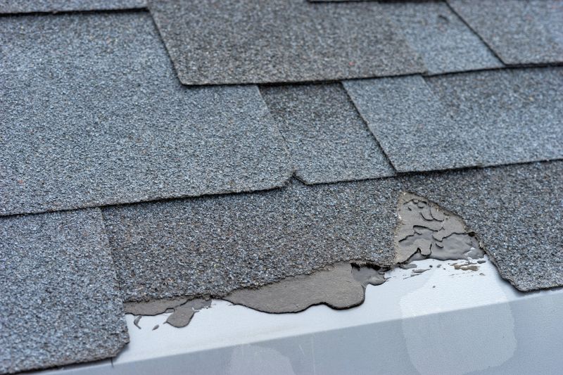 Damaged Roof Repair in Evans City, PA