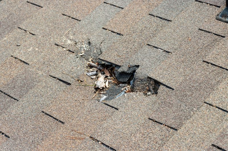 Roof Shingles Replacement in Conway, PA