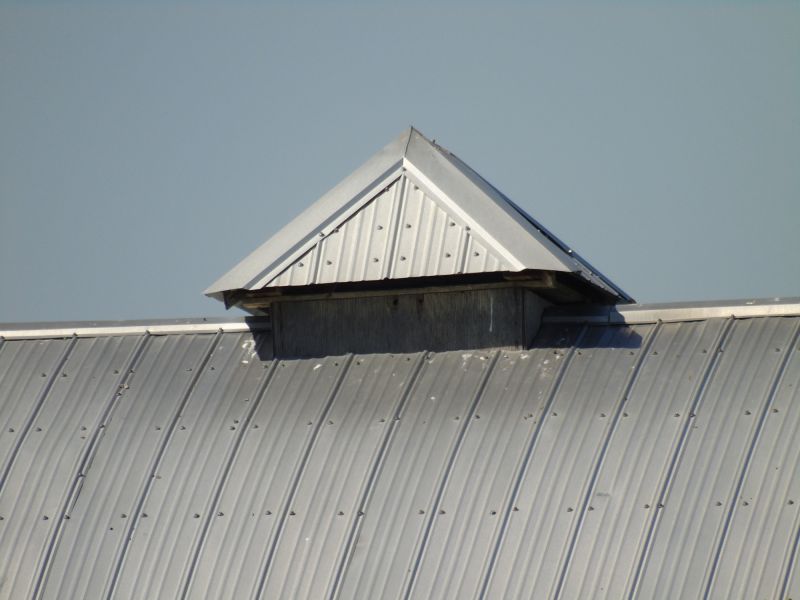 Tin Roof Installation in Colliers, WV