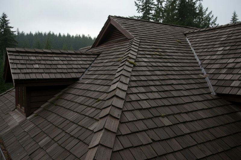Wood Shake Roof Replacement in Bethel Park, PA